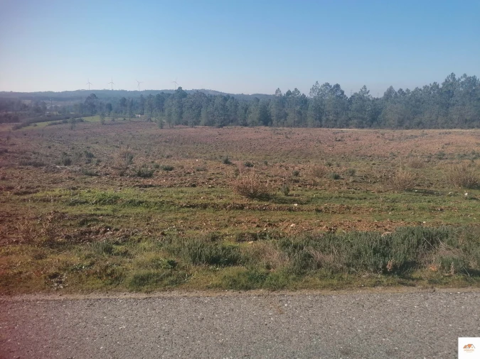 Terreno para Venda em Benquerenças Foto 14
