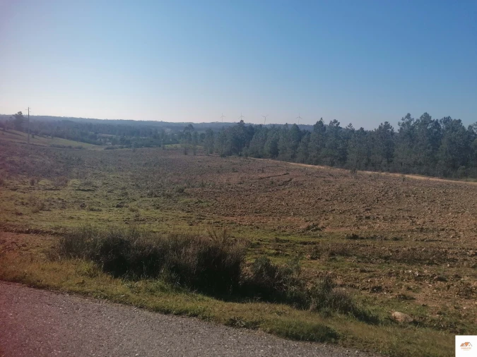 Terreno para Venda em Benquerenças Foto 15