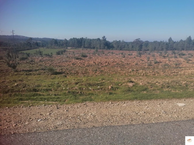 Terreno para Venda em Benquerenças Foto 12