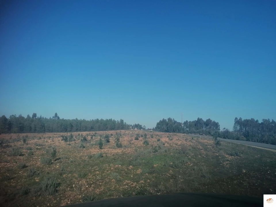 Terreno para Venda em Benquerenças Foto 7