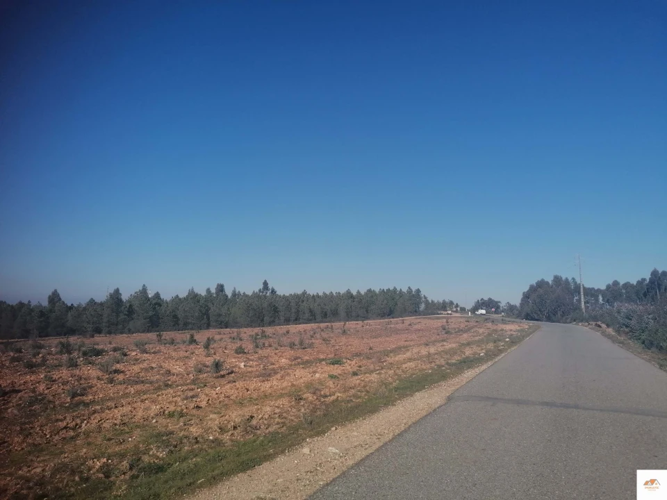 Terreno para Venda em Benquerenças Foto 10