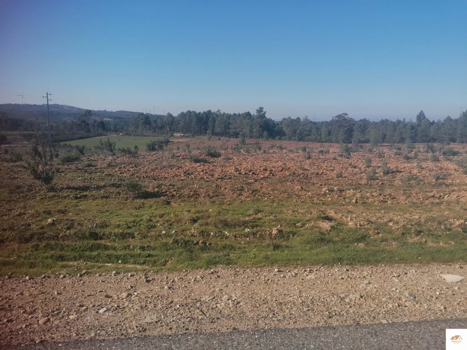 Terreno para Venda em Benquerenças Foto 11