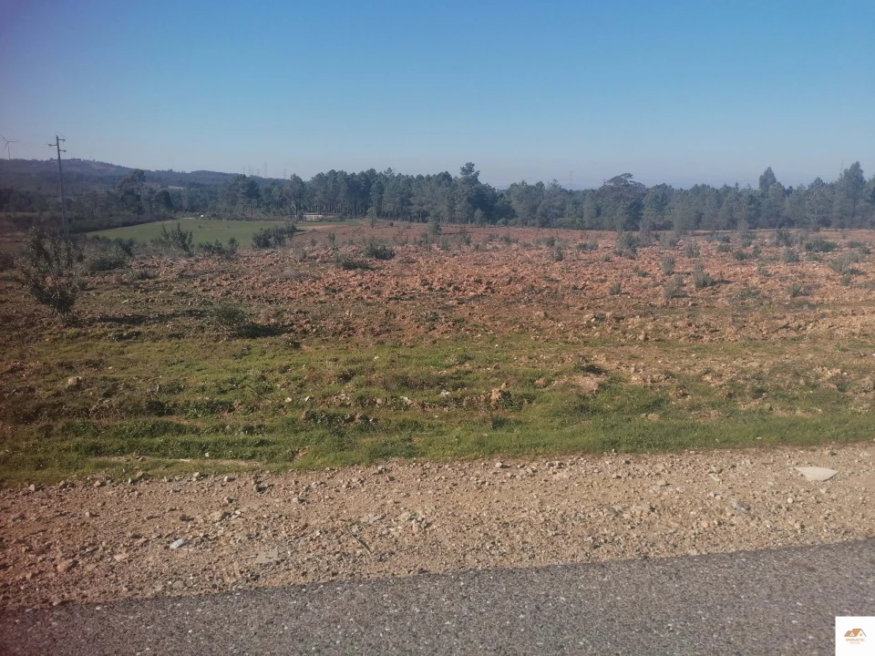 Terreno para Venda em Benquerenças Foto 12