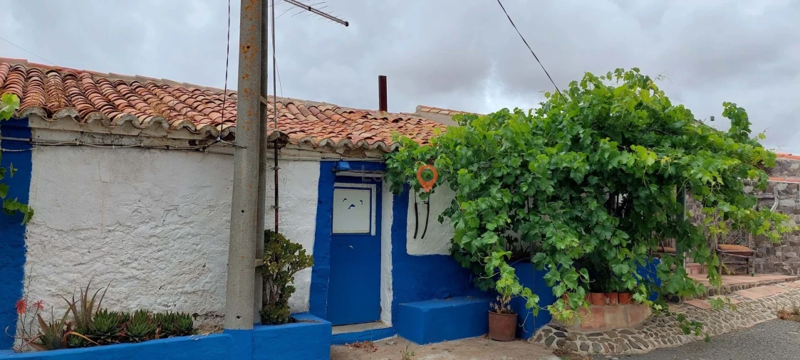 Moradia para Venda em Almodôvar e Graça dos Padrões Foto 4