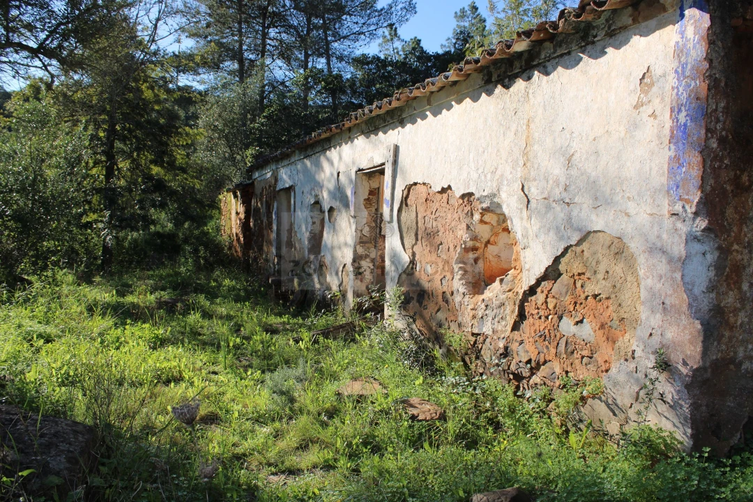 Quinta T1 para Venda em Lagos (São Sebastião e Santa Maria) Foto 3