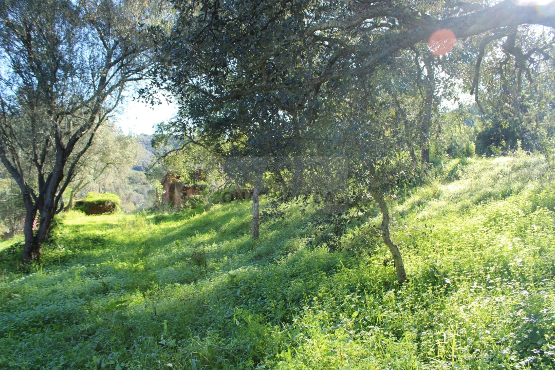 Quinta T1 para Venda em Lagos (São Sebastião e Santa Maria) Foto 23