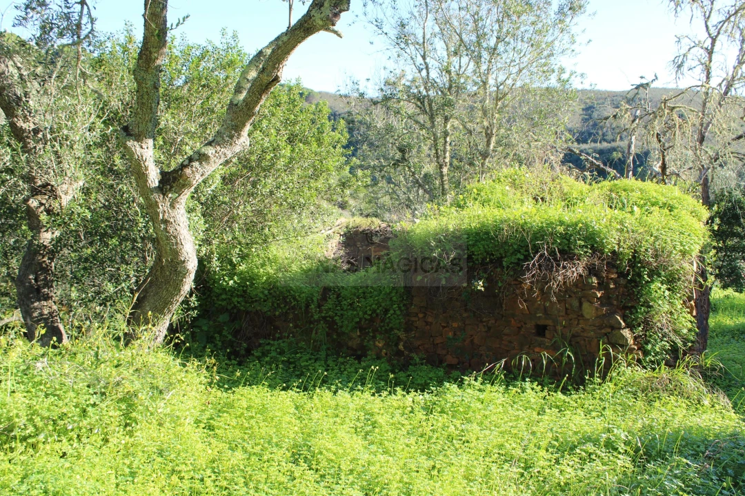 Quinta T1 para Venda em Lagos (São Sebastião e Santa Maria) Foto 17