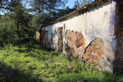 Quinta T1 para Venda em Lagos (São Sebastião e Santa Maria)