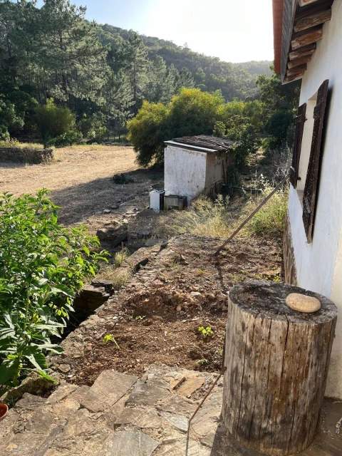 Quinta T1 para Venda em Lagos (São Sebastião e Santa Maria)