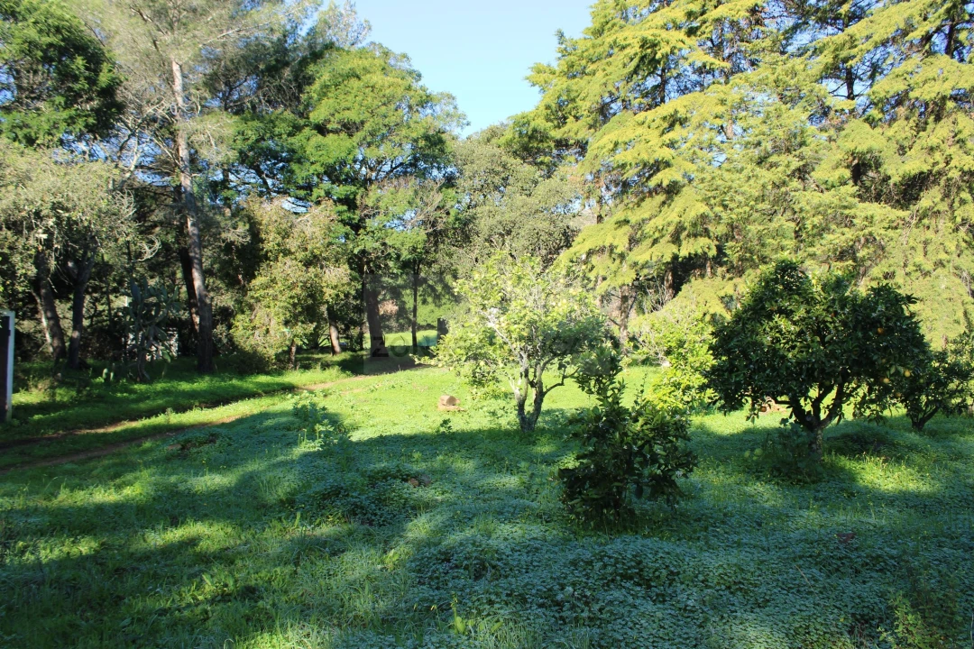 Quinta T1 para Venda em Lagos (São Sebastião e Santa Maria) Foto 22