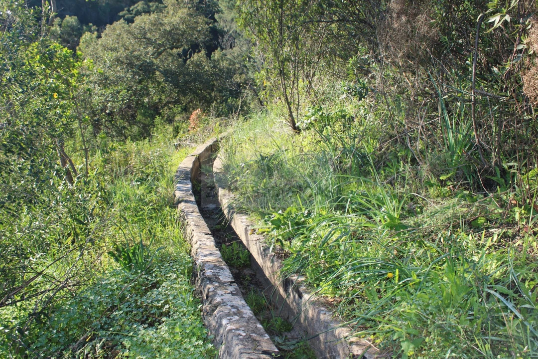 Quinta T1 para Venda em Lagos (São Sebastião e Santa Maria) Foto 25