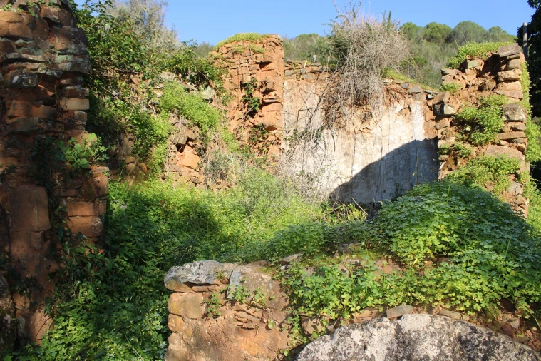 Quinta T1 para Venda em Lagos (São Sebastião e Santa Maria) Foto 14
