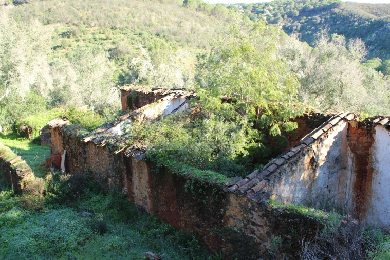 Quinta T1 para Venda em Lagos (São Sebastião e Santa Maria) Foto 24