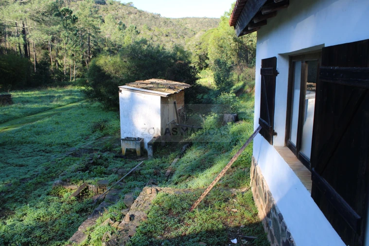 Quinta T1 para Venda em Lagos (São Sebastião e Santa Maria) Foto 29