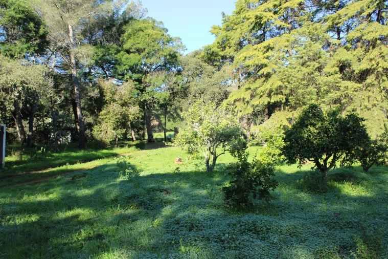 Quinta T1 para Venda em Lagos (São Sebastião e Santa Maria) Foto 22