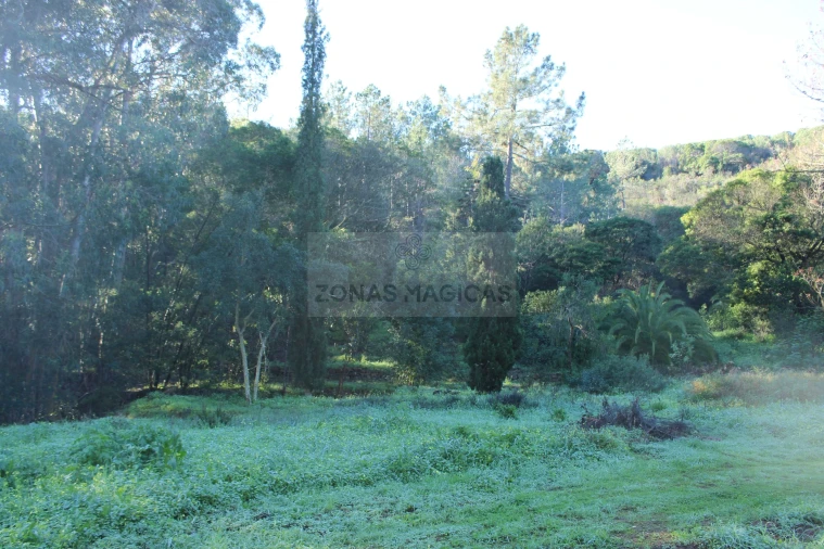 Quinta T1 para Venda em Lagos (São Sebastião e Santa Maria) Foto 27