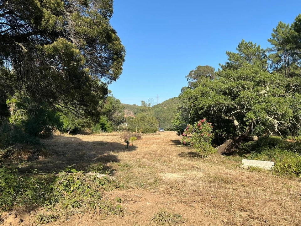 Quinta T1 para Venda em Lagos (São Sebastião e Santa Maria) Foto 34
