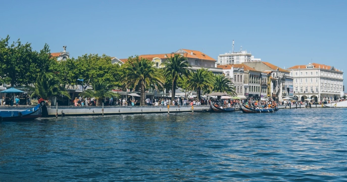 Apartamento T2 para Venda em Glória e Vera Cruz Foto 19