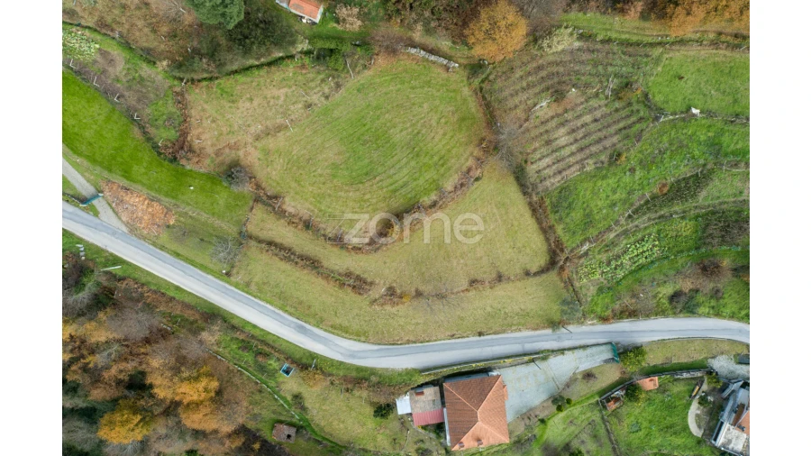 Terreno para Venda em Santa Marinha do Zezere Foto 6
