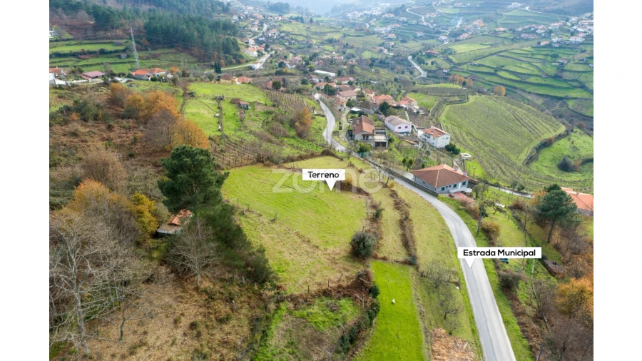 Terreno para Venda em Santa Marinha do Zezere Foto 9