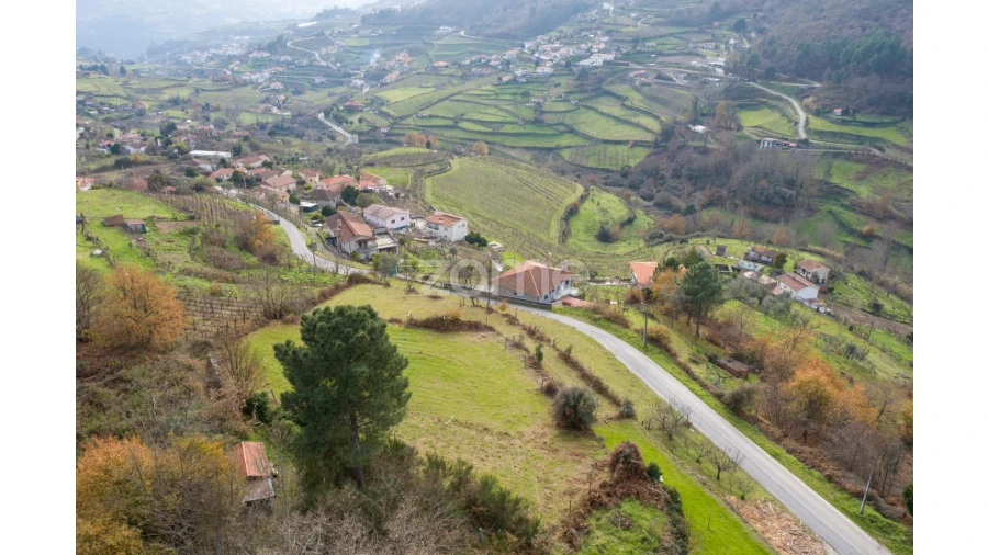 Terreno para Venda em Santa Marinha do Zezere Foto 8