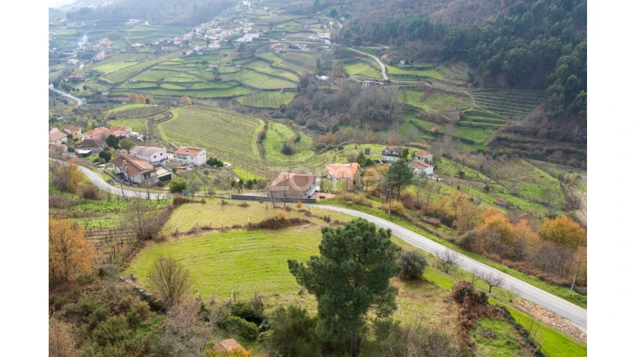 Terreno para Venda em Santa Marinha do Zezere Foto 10
