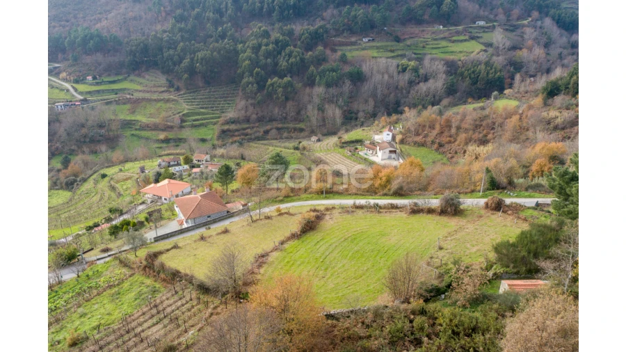 Terreno para Venda em Santa Marinha do Zezere Foto 11