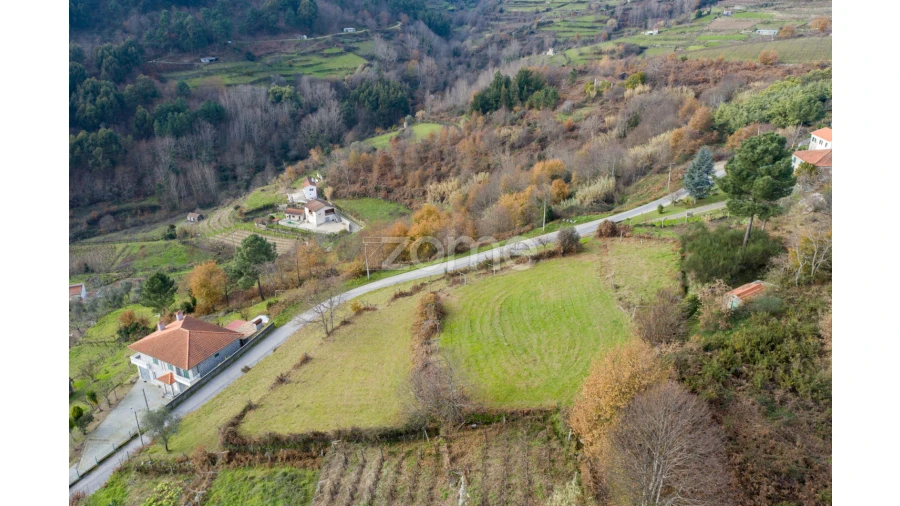 Terreno para Venda em Santa Marinha do Zezere Foto 13