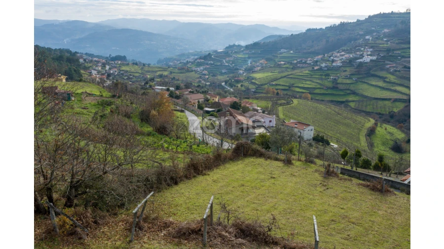 Terreno para Venda em Santa Marinha do Zezere Foto 17