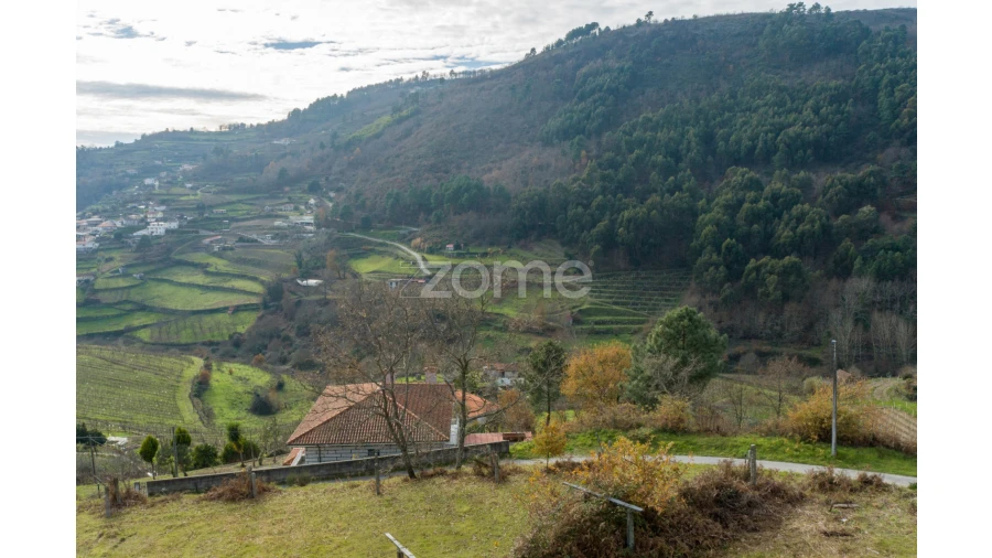 Terreno para Venda em Santa Marinha do Zezere Foto 18