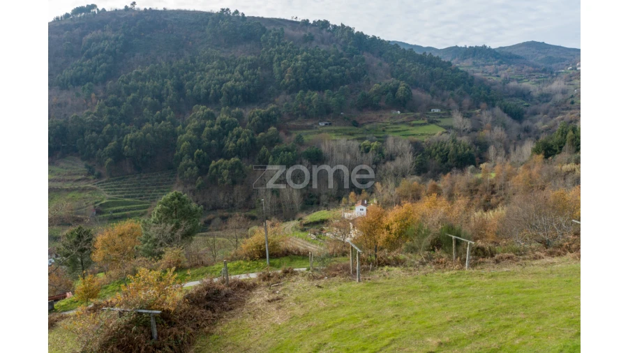 Terreno para Venda em Santa Marinha do Zezere Foto 19