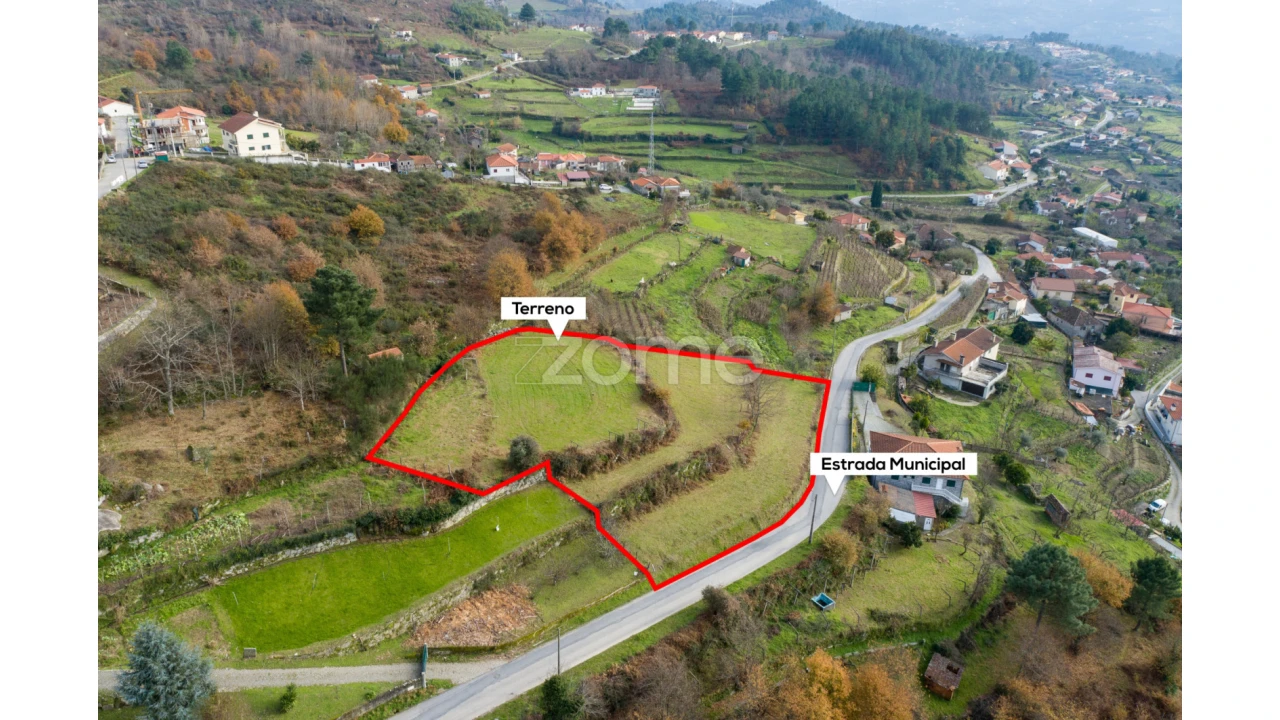 Terreno para Venda em Santa Marinha do Zezere Foto 3