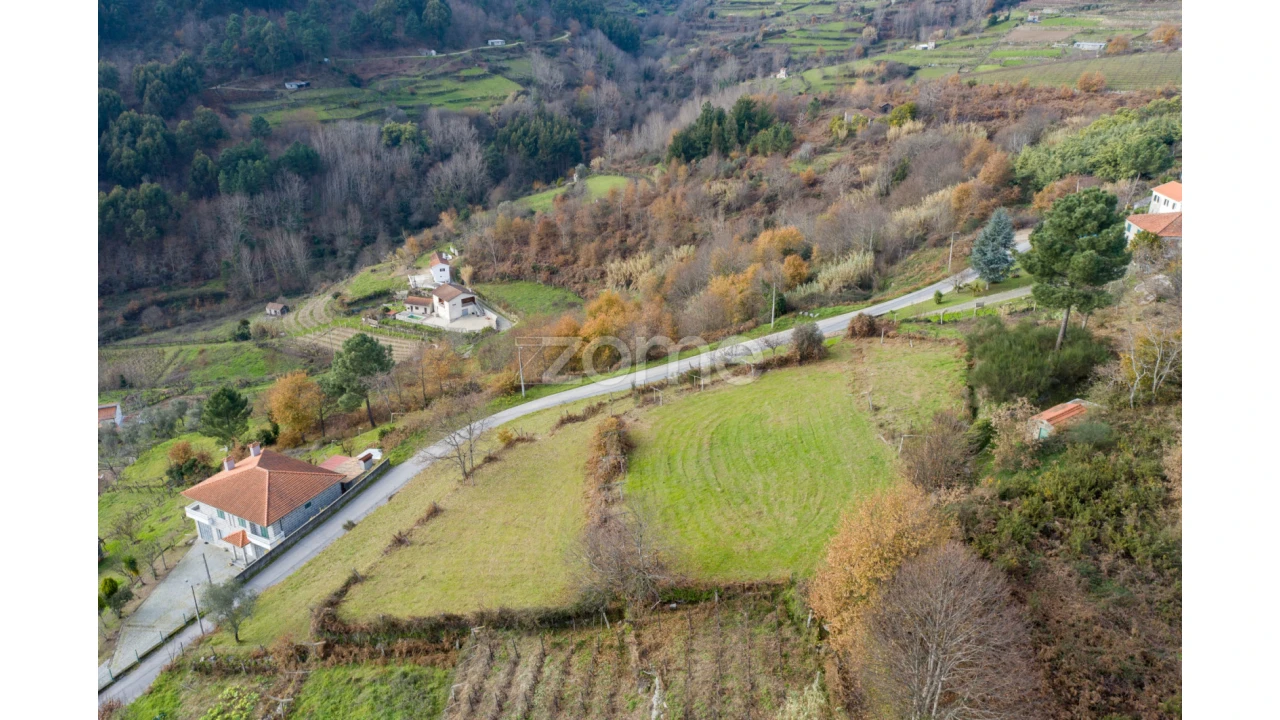 Terreno para Venda em Santa Marinha do Zezere Foto 13