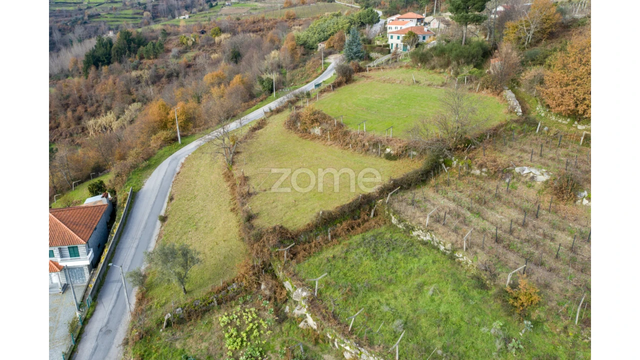 Terreno para Venda em Santa Marinha do Zezere Foto 12