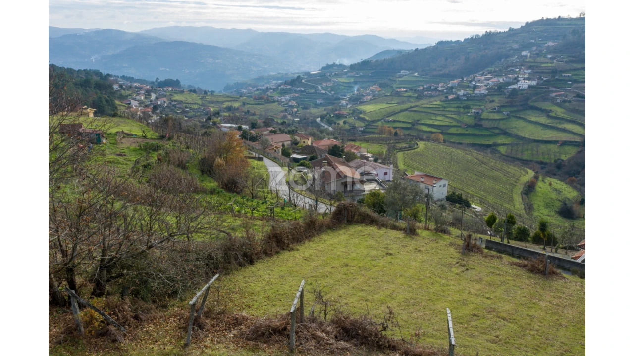 Terreno para Venda em Santa Marinha do Zezere Foto 17