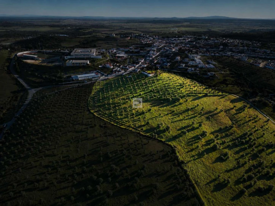 Quinta T8 para Venda em Arraiolos Foto 1