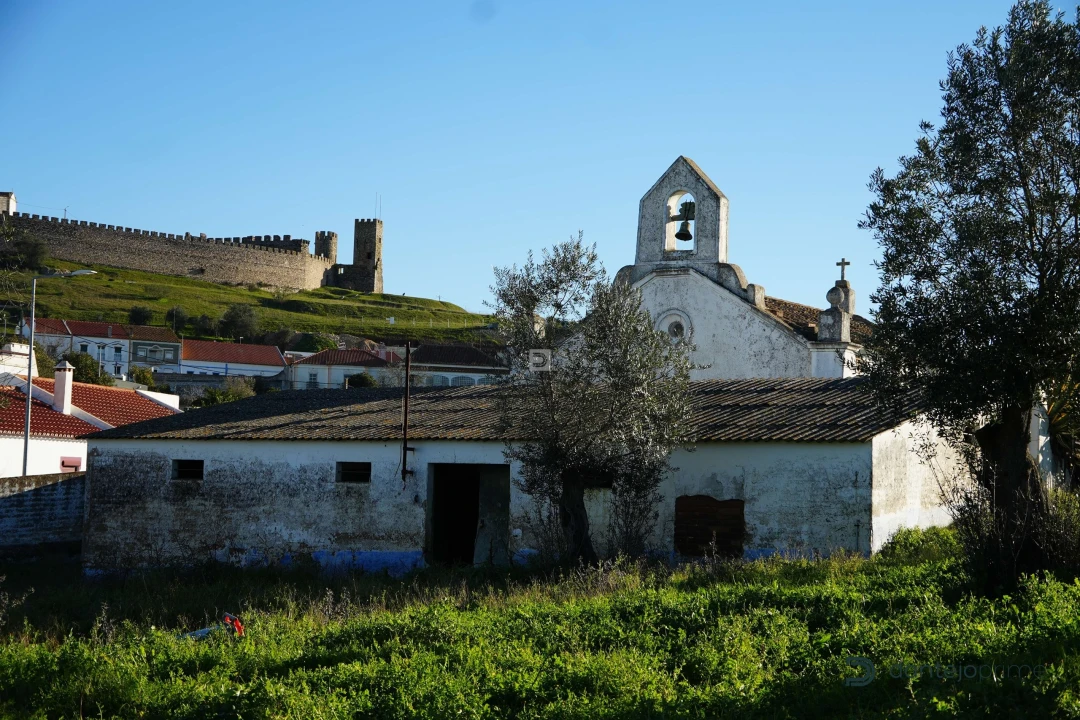 Quinta T8 para Venda em Arraiolos Foto 4