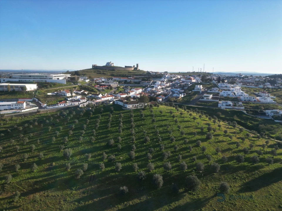 Quinta T8 para Venda em Arraiolos Foto 3