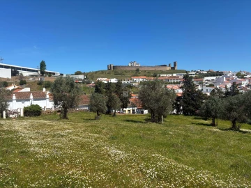 Quinta T8 para Venda em Arraiolos
