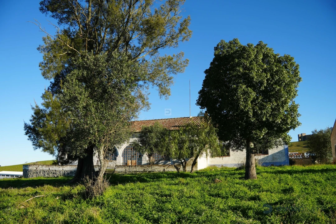 Quinta T8 para Venda em Arraiolos Foto 16