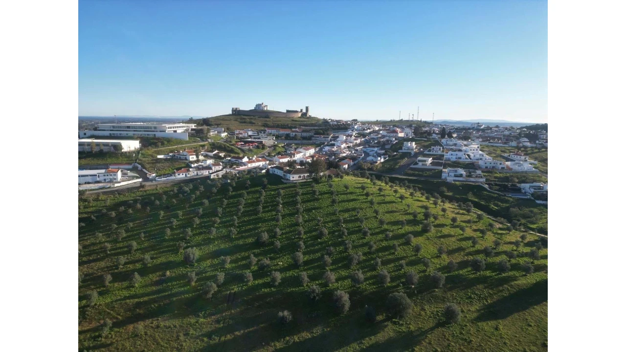 Quinta T8 para Venda em Arraiolos Foto 1