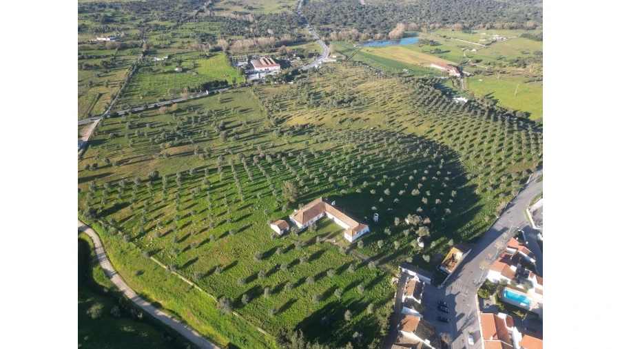 Quinta T8 para Venda em Arraiolos Foto 2