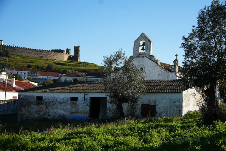 Quinta T8 para Venda em Arraiolos Foto 4