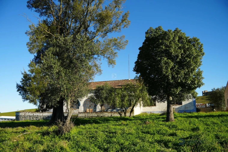 Quinta T8 para Venda em Arraiolos Foto 16