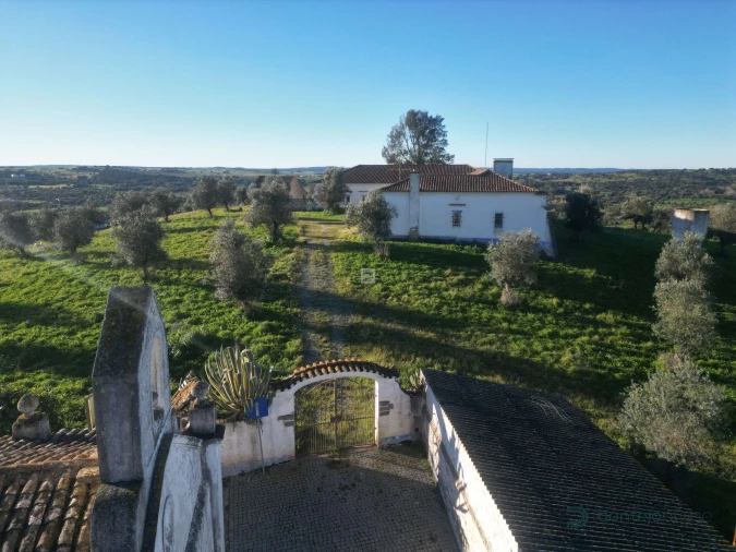Quinta T8 para Venda em Arraiolos Foto 8