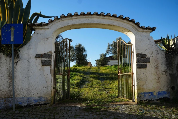 Quinta T8 para Venda em Arraiolos Foto 15