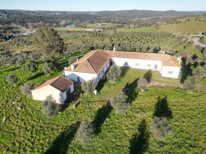 Quinta T8 para Venda em Arraiolos Foto 6