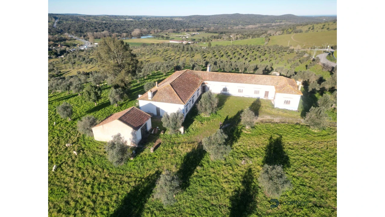 Quinta T8 para Venda em Arraiolos Foto 3