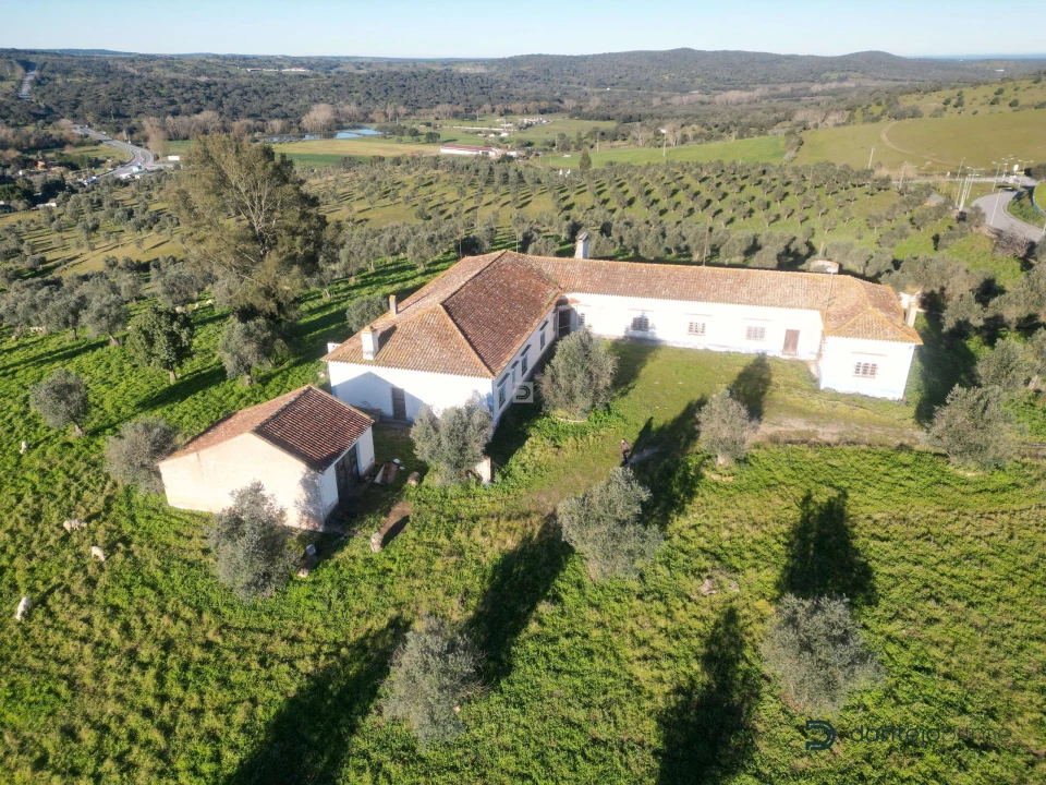 Quinta T8 para Venda em Arraiolos Foto 6