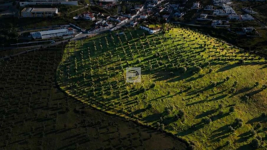 Quinta T8 para Venda em Arraiolos